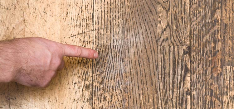 Wood Door Scratch Repair in West Pensacola